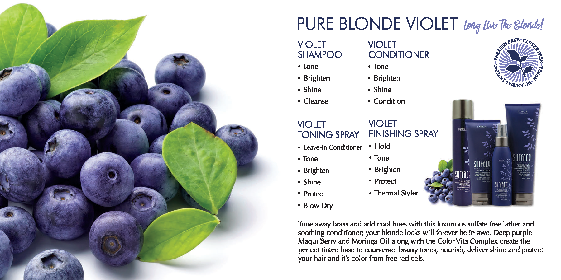 Surface Pure Blonde Violet Haircare Products